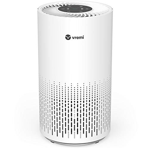 Large Room Home Air Purifier with True HEPA Filter